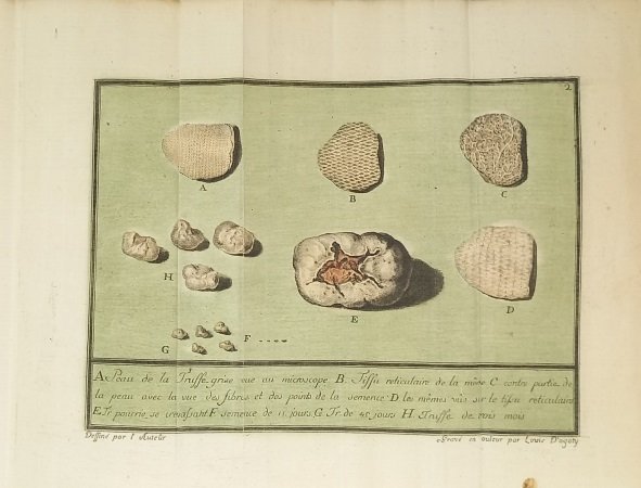 Lettres sur les truffes du Pi&amp;eacute;mont, &amp;eacute;crites en 1780.