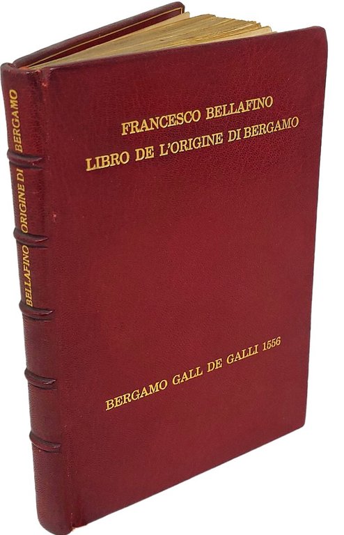 Libro de l'Origine, &amp;amp; tempi de la nobile, &amp;amp; antica …