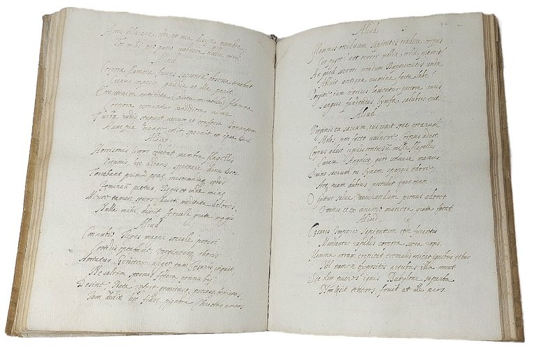 Manoscritto su carta.