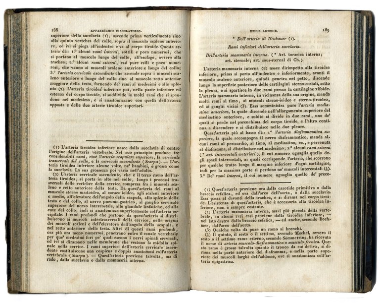 Manuale di Anatomia Descrittiva del Corpo Umano. Versione italiana di … | Immagine Gallery 2