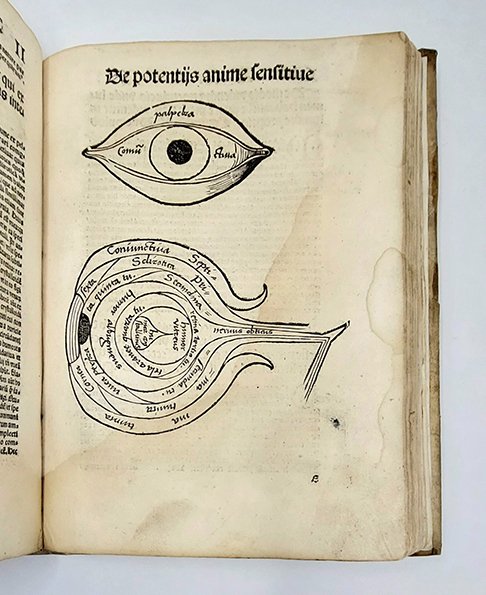 Margarita philosophica cum additionibus novis ab auctore suo studiosissima revisione …