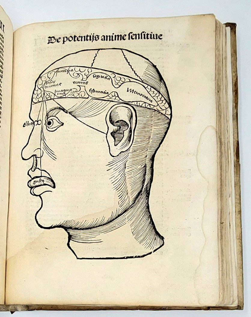 Margarita philosophica cum additionibus novis ab auctore suo studiosissima revisione …