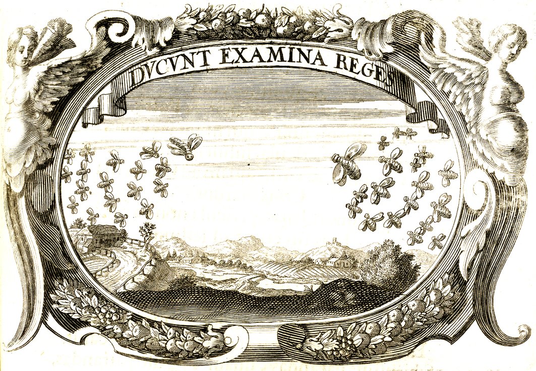 Monumentaum extremi honoris...Principis Ferdinandi Mariae, utriusque Bavariae, ac Superioris Palatinatus …