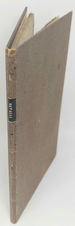 Notizie storiche e poesie sui cavalli di Venezia.