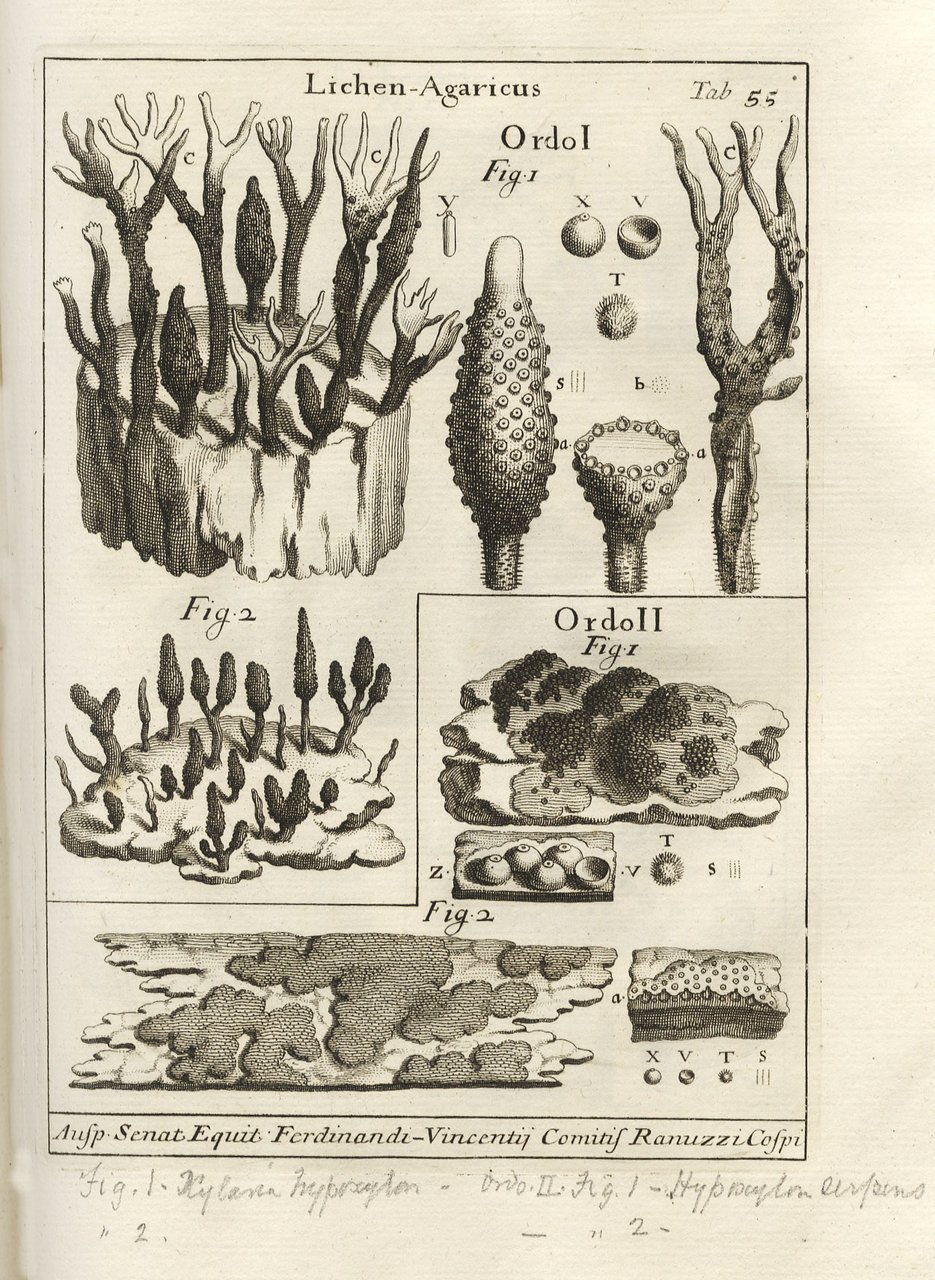 Nova Plantarum genera iuxta Tournefortii methodum disposita.