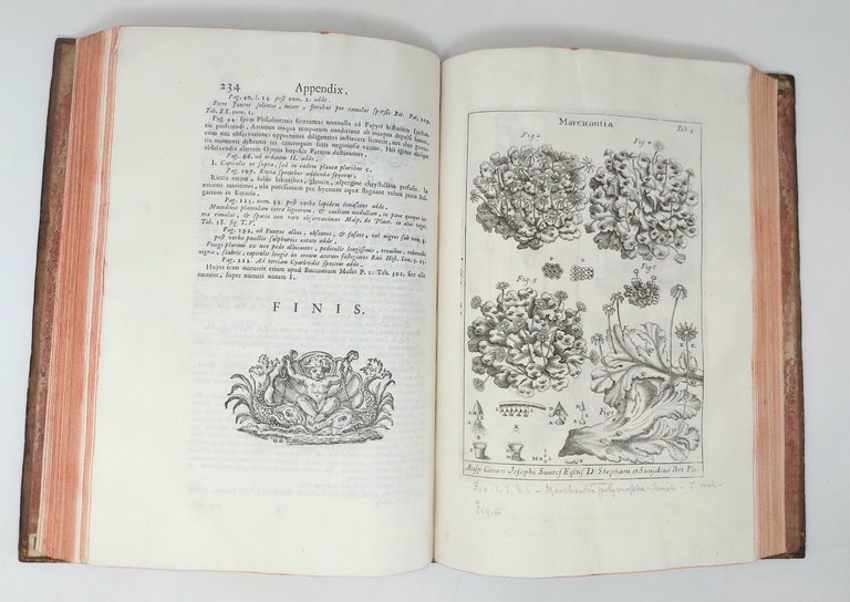 Nova Plantarum genera iuxta Tournefortii methodum disposita.