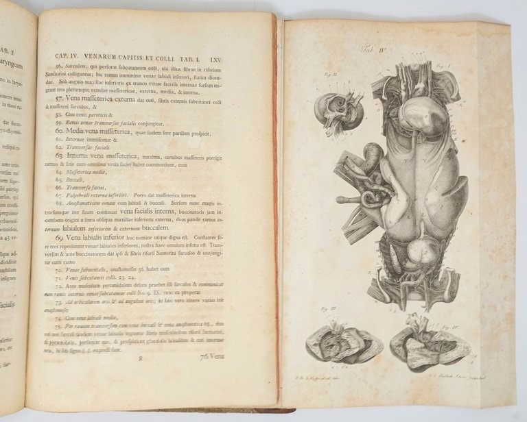 Observationes Anatomicae. Historia Monstri bicorporis duobus capitibus, tribus pedibus, pectore …