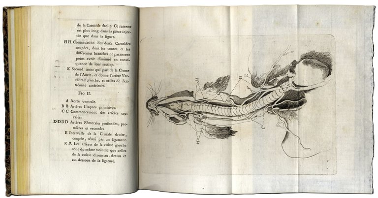 (Oeuvres: m&amp;eacute;langes de chirurgie). | Immagine Gallery 2