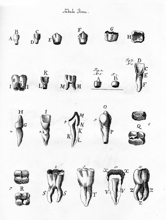 Opera Medica, et Anatomica Varia (Opera posthuma).