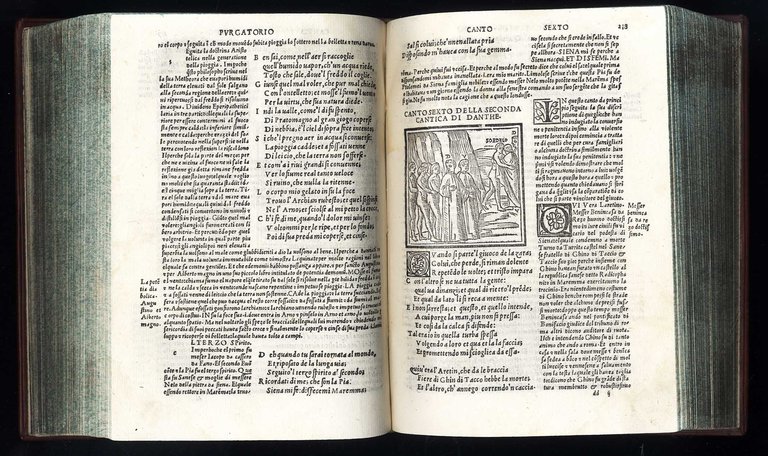 Opere del Divino Poeta Danthe con suoi comenti: recorrecti con …