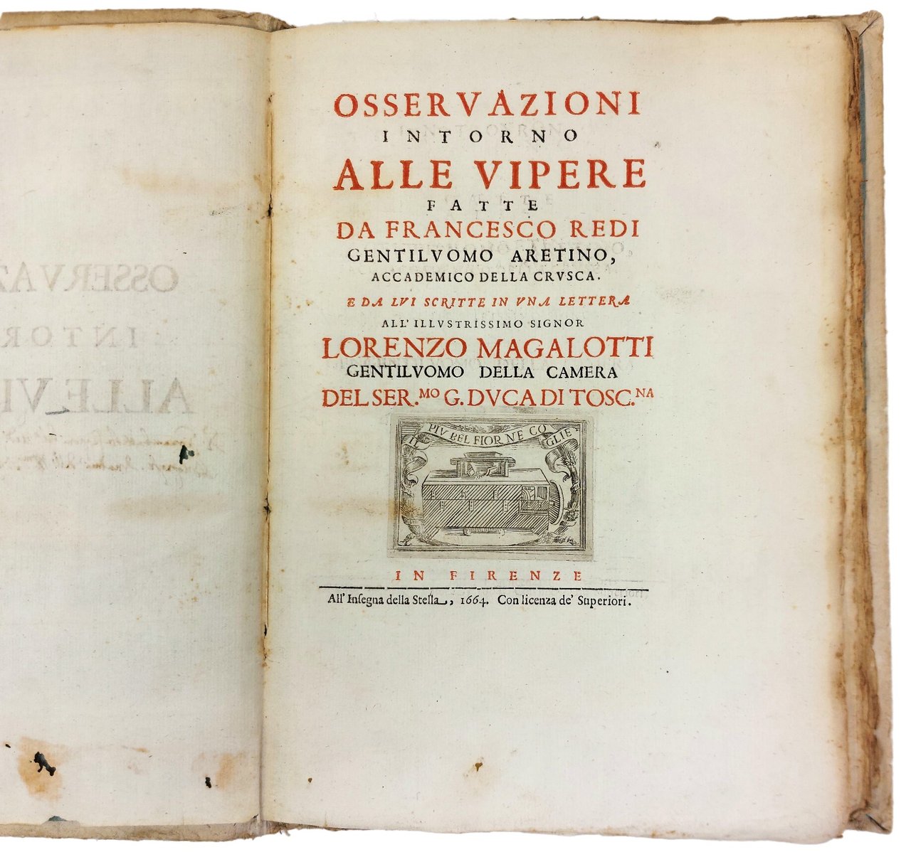 Osservazioni intorno alle vipere...&amp;nbsp;e da lui scritte all'Illustrissimo Lorenzo Magalotti...