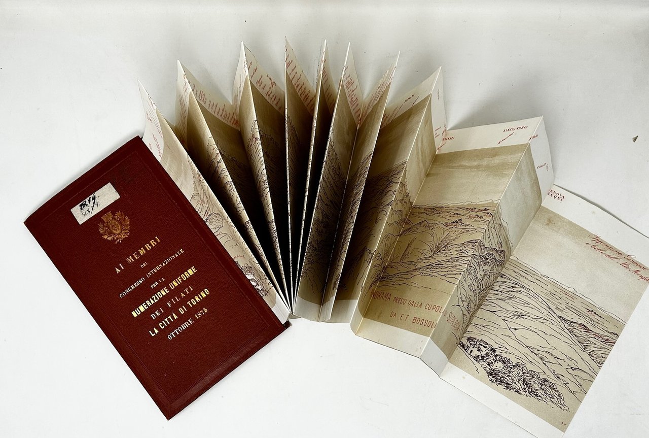 Panorama (di Torino e dintorni) preso dalla cupola di Superga.