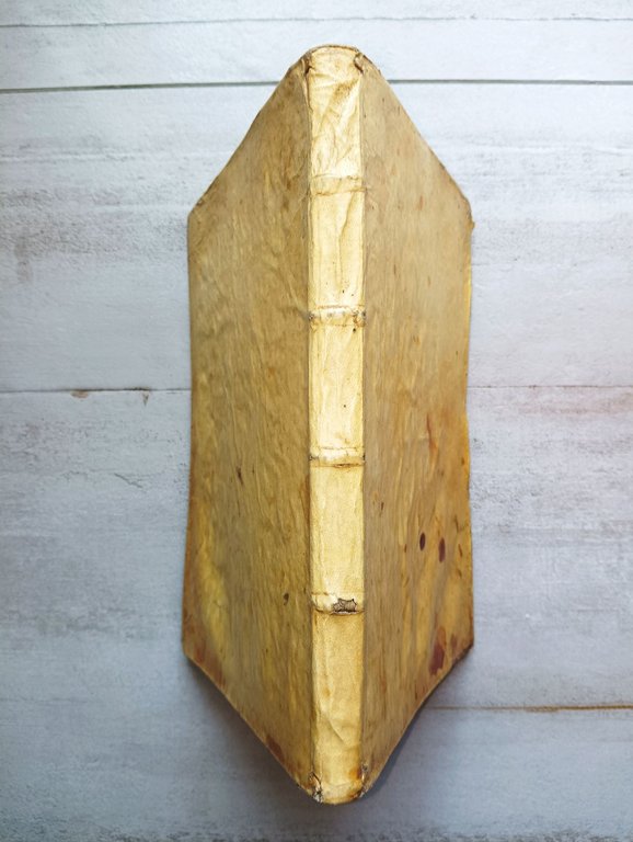 Paradossi per praticare la Prospetiva senza saperla,&amp;nbsp;fiori per facilitare l'intelligenza, … | Immagine Gallery 5