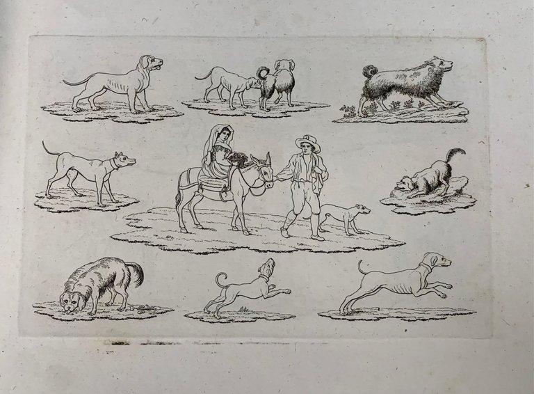 Piccoli Costumi di vario disegno.