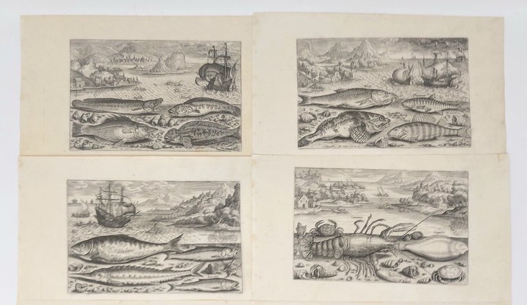 Piscium vivae icones in aes incisae et editae ab Adriano …