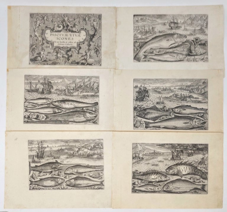 Piscium vivae icones in aes incisae et editae ab Adriano …