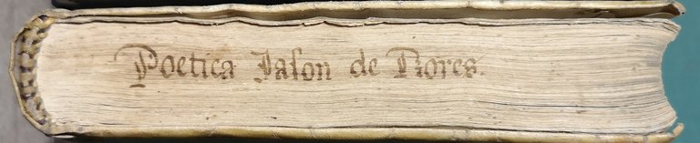 Poetica. Nella qual... si tratta della Tragedia, del Poema Heroico, …