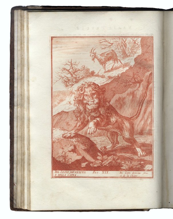 Raccolta di varie favole - Recueil de diverses fables.&amp;nbsp;Primi tre … | Immagine Gallery 10