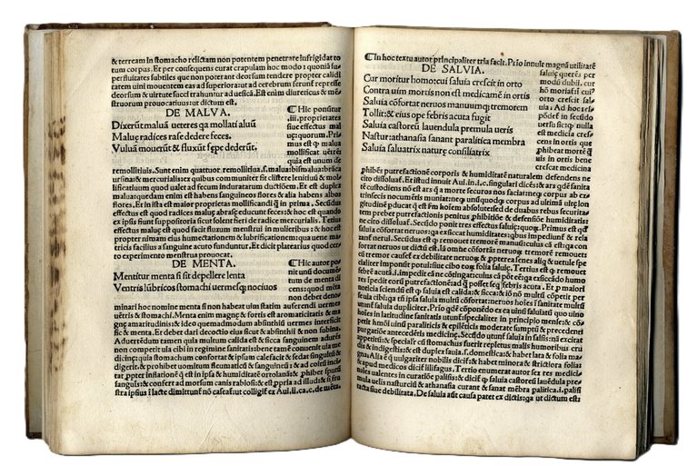 Regimen Sanitatis, cum expositione Magistri Arnaldi de Villa Nova Cathellano … | Immagine Gallery 3