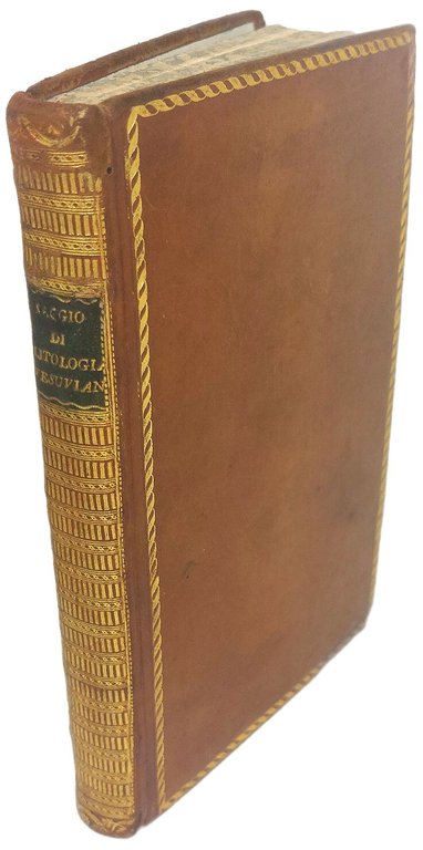 Saggio di Litologia Vesuviana.