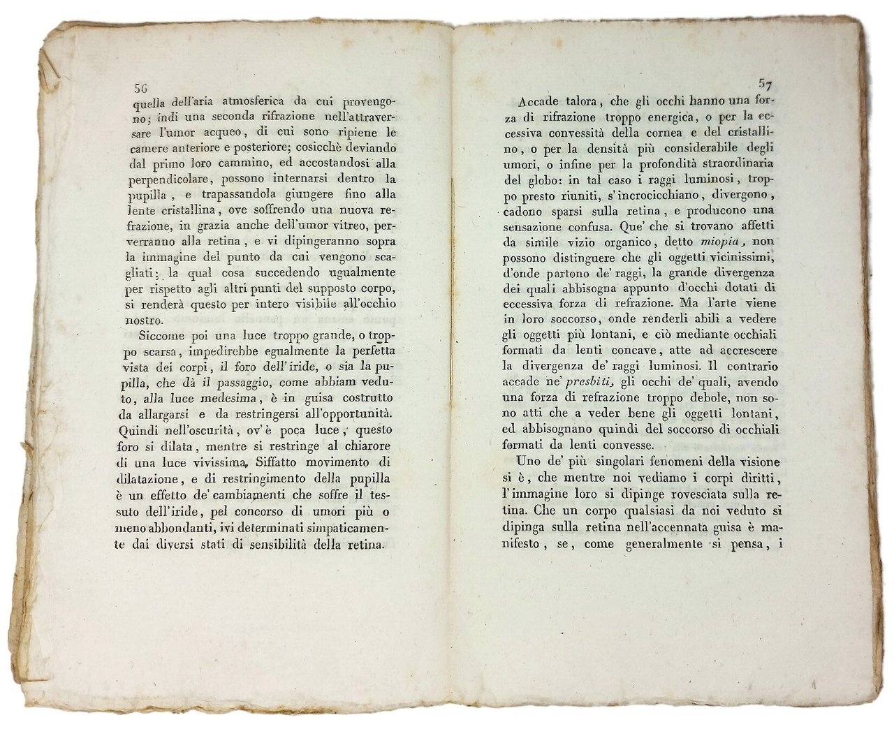 Saggio fisiologico sulla facolt&amp;agrave; di sentire dell'uomo per servire d'introduzione … | Immagine principale
