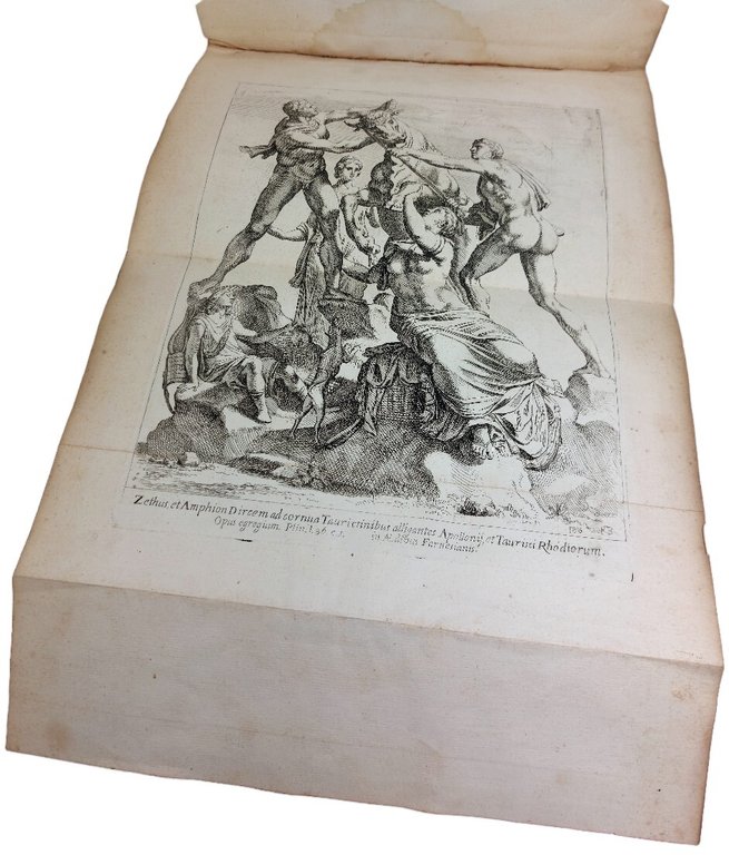 Segmenta nobilium signorum et statuarum que temporis dentem invidium evase...