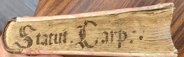 Stat[u]ta ordinam[en]ta ac p[ro]vis[ion]es Terrae Carpi. Manoscritto su carta.