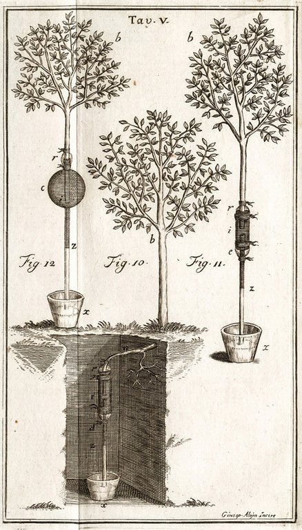 Statica dei Vegetabili, ed Analisi dell'Aria. Opera del signor Hales …