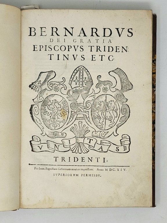 Statuta: De civilibus, De syndicis, De criminalibus. (Segue:) Forma constituendi …