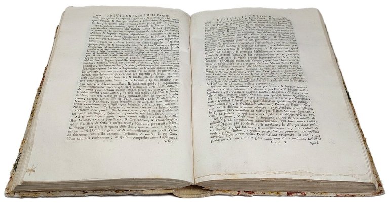 Statutorum magnificae civitatis Veronae libri quinque, una cum privilegiis. Tomus … | Immagine Gallery 3