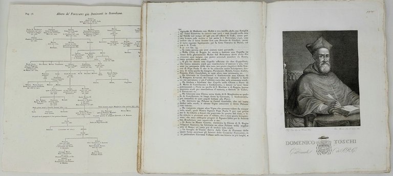 Storia di Scandiano.