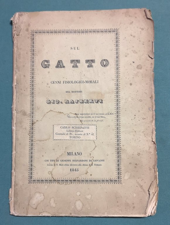 Sul gatto. Cenni fisiologico-morali del dottore Giovanni Rajberti.