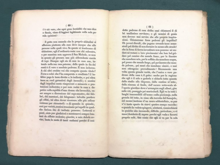 Sul gatto. Cenni fisiologico-morali del dottore Giovanni Rajberti.