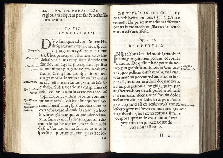 Th. Paracelsi Philosophiae et Medicinae utriusque universae, compendium, ex optimis …