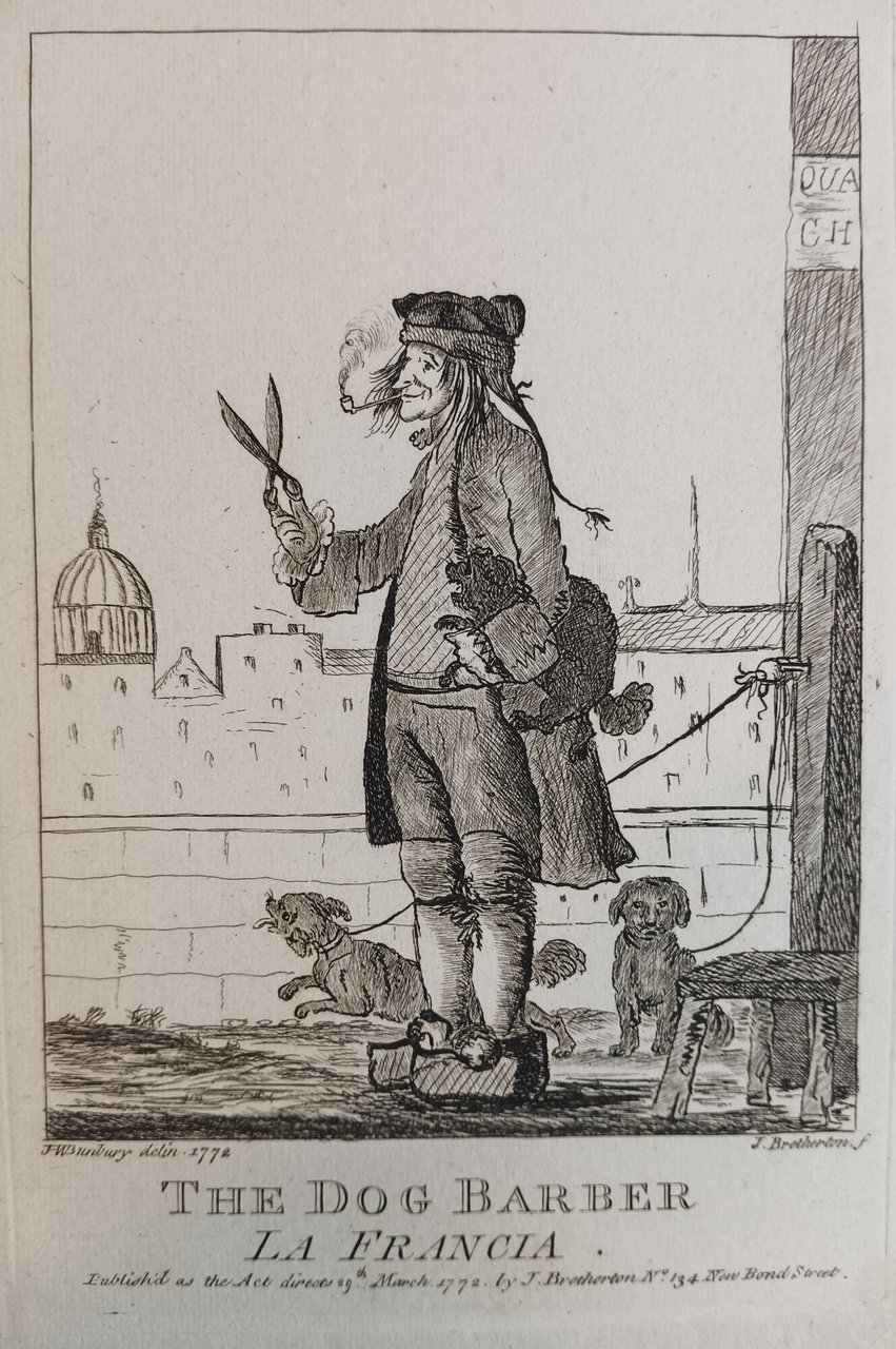 The dog barber - La Francia