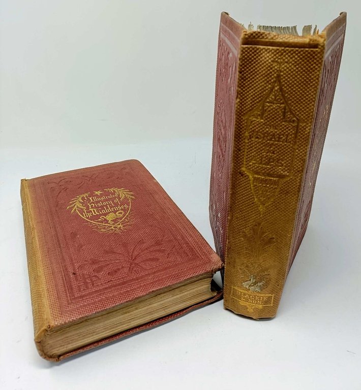 The Israel of the Alps: a complete history of the …