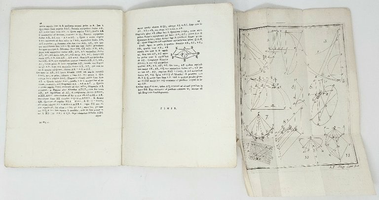 Theoremata ad rem physicam spectantia. Decas I.