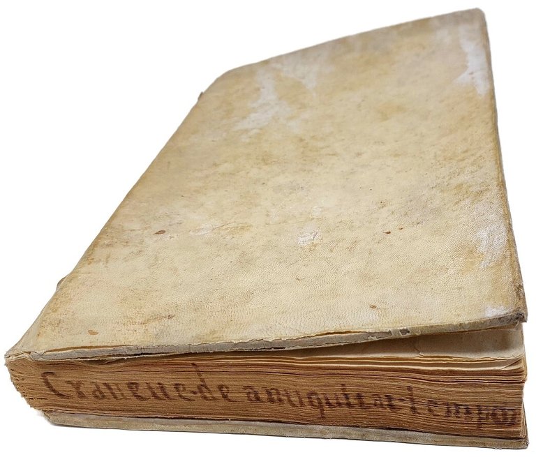 Tractatus de antiquitatibus temporum. Quaestio item in utranque partem super … | Immagine Gallery 3