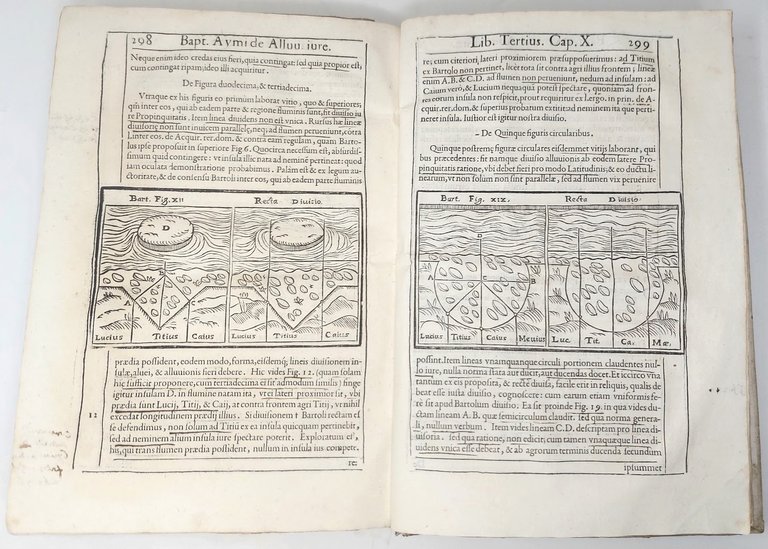 Tractatus de fluviorum alluvionibus,&amp;nbsp;deque ijs, quae ex alluvione nascuntur commodis, …