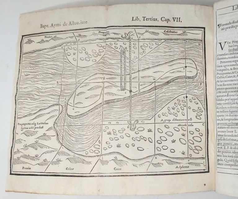 Tractatus de fluviorum alluvionibus,&amp;nbsp;deque ijs, quae ex alluvione nascuntur commodis, …