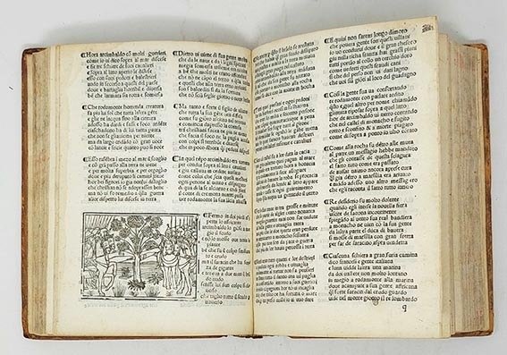 Tutti li libri de Orlando Inamorato.&amp;nbsp;Del conte de Scandiano Mattheo Maria Boiardo Trati Fidermente [sic] Dal suo Emendatissimo exemplare. Nouamente stampato &amp;amp; historiato.