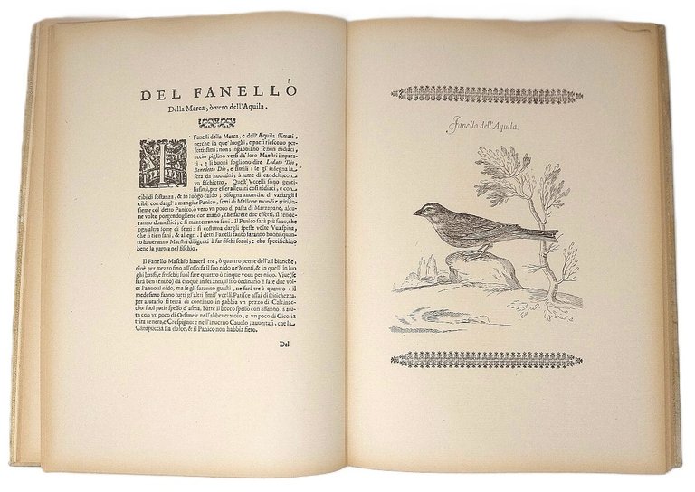 Uccelliera. Ovvero Discorso della Natura e proprietà di diversi uccelli... E …