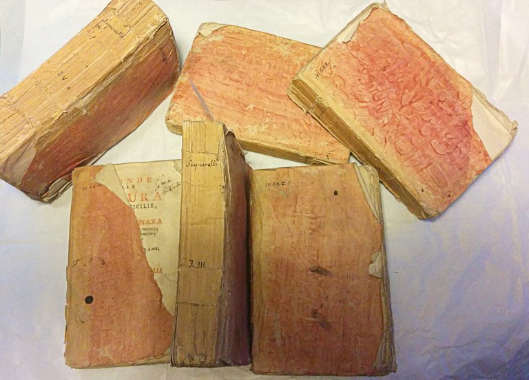 Vicende della coltura nelle Due Sicilie, o sia Storia ragionata …