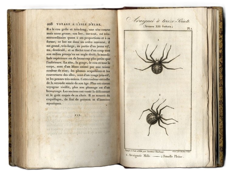 Voyage &amp;agrave; l'Isle d'Elbe, suivi d'une notice sur les autres …