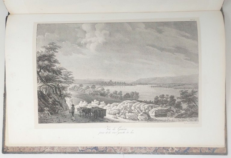 Voyage pittoresque autour du Lac de Gen&amp;egrave;ve, orn&amp;eacute; de onze …