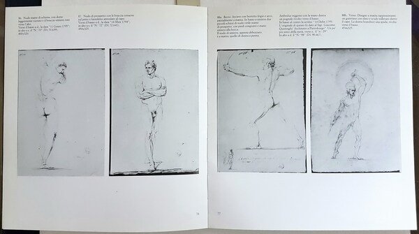 DISEGNI DI CANOVA del Museo di Bassano
