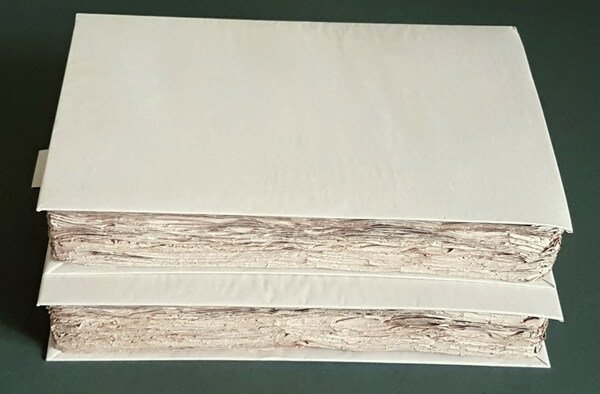 HISTOIRE DE LA REVOLUTION D'ANGLETERRE depuis l'avÃ¨nement de Charles 1Â° …