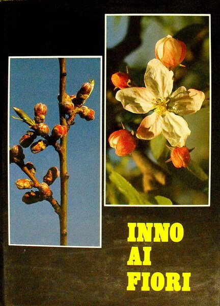 INNO AI FIORI