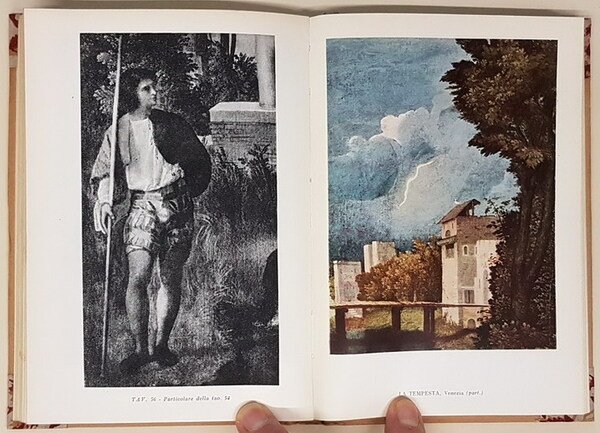 Tutta la pittura di GIORGIONE
