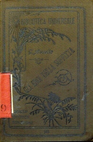 GLI EROI DELLA SOFFITTA e POESIE VARIE